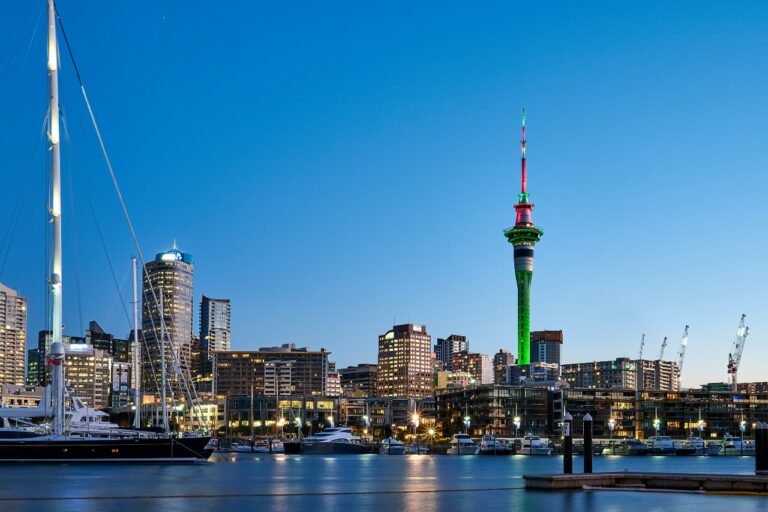New Zealand's Business Landscape